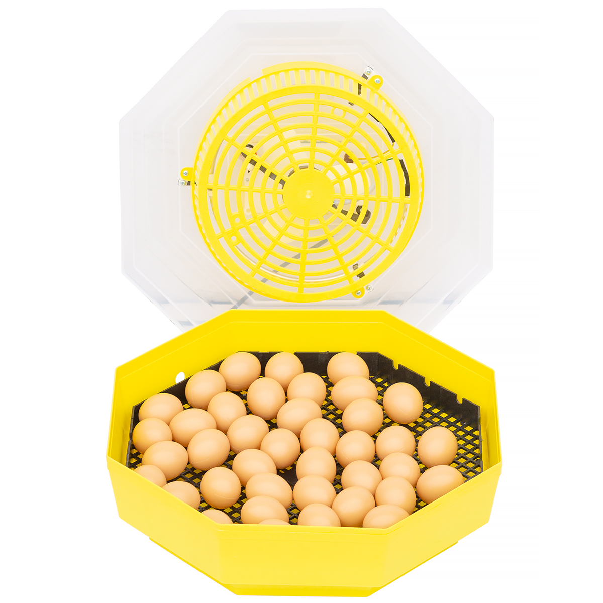 inkubator-do-jaj-home