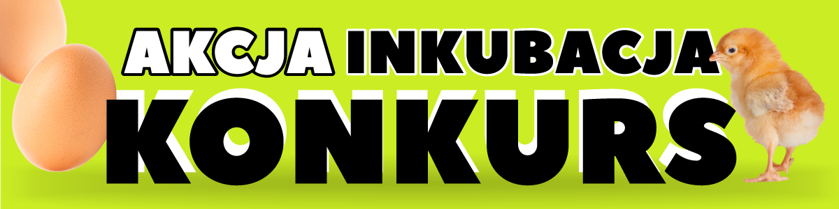 Konkurs Akcja Inkubacja