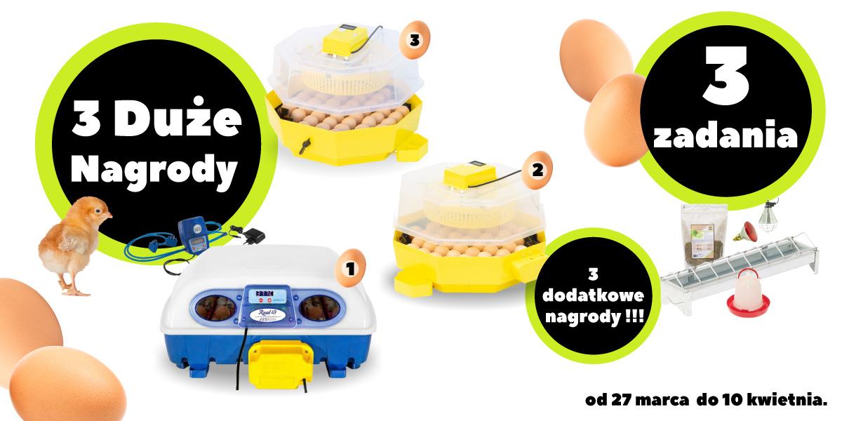 Akcja inkubacja nagrody