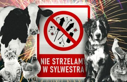 Nie strzelam w Sylwestra