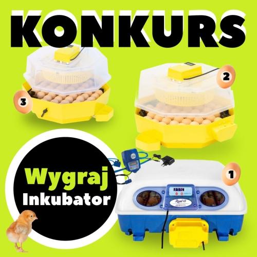 Akcja Inkubacja - nagrody