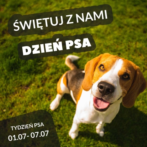 Dzień Psa obchodzimy cały Tydzień! Zapraszamy do udziału w promocji