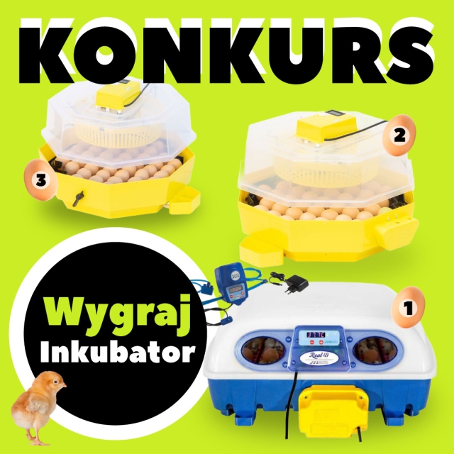 Akcja Inkubacja - nagrody