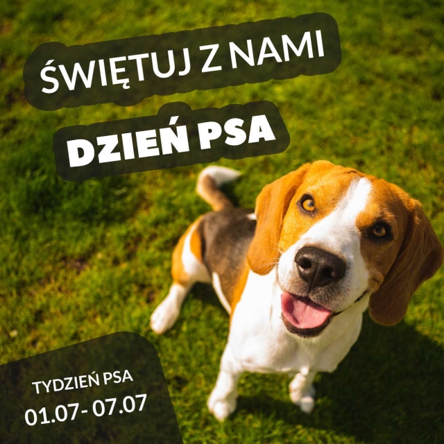 Dzień Psa obchodzimy cały Tydzień! Zapraszamy do udziału w promocji