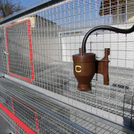 Klatka dla bażantów - segment do pozyskiwania jaj