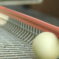 Listwa brzegowa na siatkę zgrzewaną do zabezpieczenia brzegów klatek