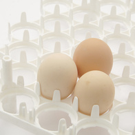 Taca do inkubatora na 63 jaja bażantów, perlików i innych