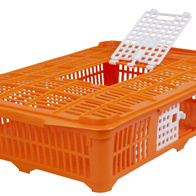 Klatka, skrzynka plastikowa do transportu przepiórek i gołębi