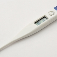 Termometr elektroniczny do pomiaru temperatury w aparacie lęgowym