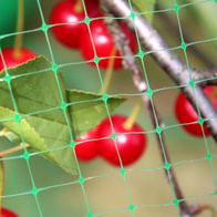 Siatka osłonowa przeciw ptakom 4,8 m x 30 m