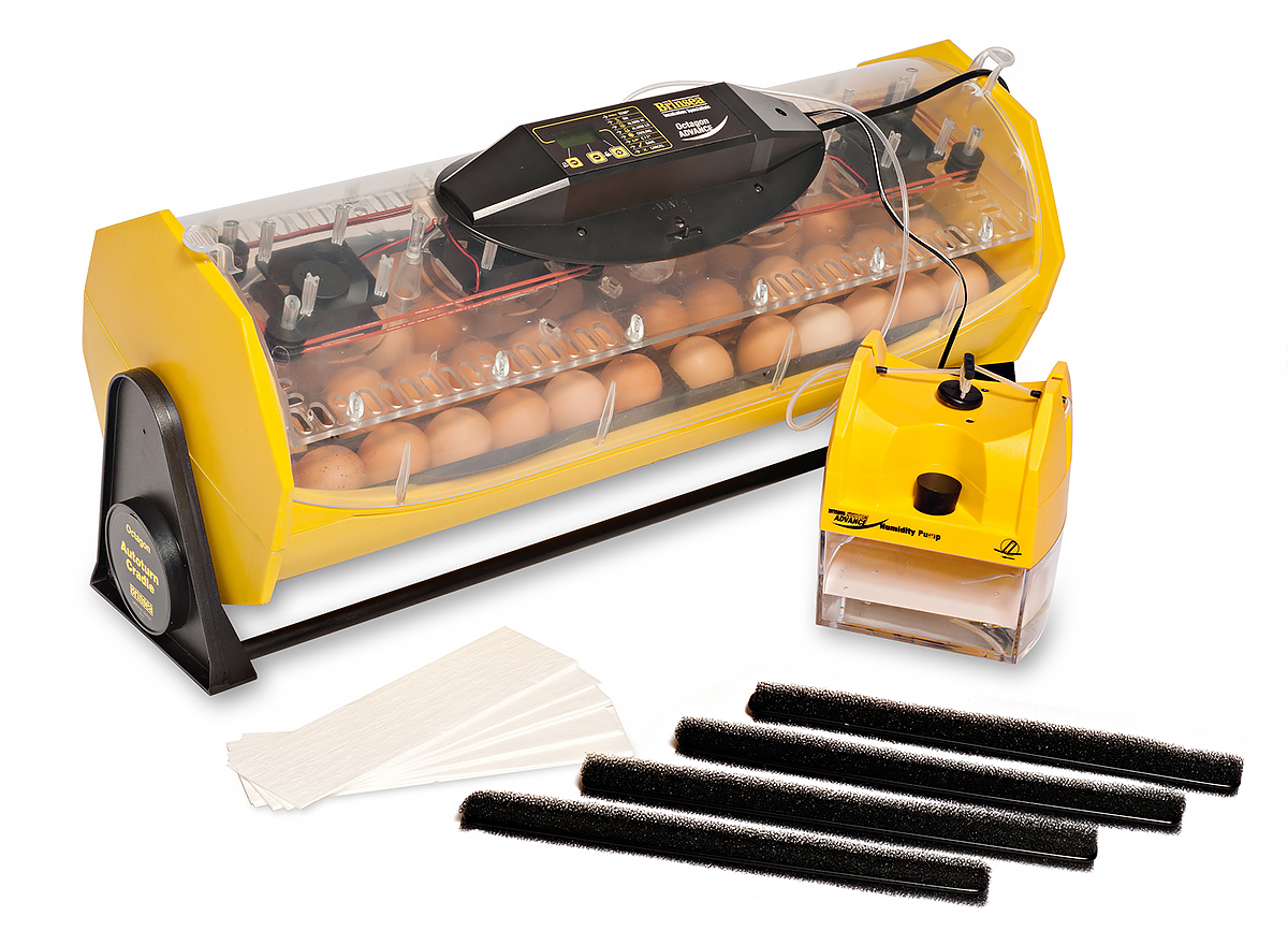 Inkubator Octagon 40 Advance AUTO EX z pompą wilgoci