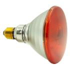 Promiennik - lampa podczerwona żarówka PHILIPS 175WAT