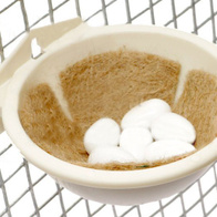 Jaja do podkładania dla papug 10 sztuk