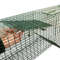 Łapacz żywołowny na lisy zastawiany w norze z zapadką grawitacyjną