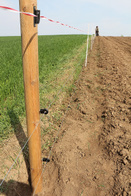 Izolator do prowadzenia taśmy do pastuchów na gwóźdź/wkręt