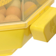 Automatyczna taca do inkubatora iBator Home 60 z pojemnikiem na wodę