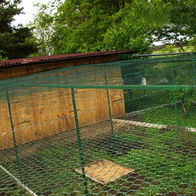 Siatka do budowy wolier z oczkiem sześciokątnym oczko 2 cm, 25mb powlekana