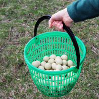 Koszyk do zbierania jaj