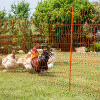 Siatka ogrodzenia elektrycznego z podwójnym szpicem 112 cm / dł. 50 m pomarańczowa