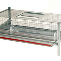 Klatka dla przepiórek do hodowli i pozyskiwania jaj