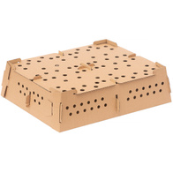 Karton transportowy do przewozu piskląt z czterema boksami - 5 szt.