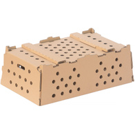 Karton do transportu bażantów 60 x 40,5 x 22 cm