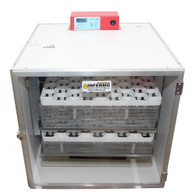 Inkubator lnfermo P90X Auto