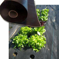 Agrotkanina gruba - bardzo mocna w rolce 2,1x100m