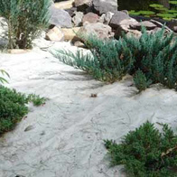 Agrowłóknina do okrywania na przymrozki P17 3,2x10m