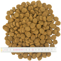 Karma dla psów Lecker Premium z jagnięciną i wołowiną 10 kg