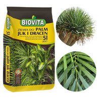 Podłoże do palm juk i dracen ziemia z nawozem 5 l
