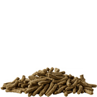 VERSELE LAGA Cuni Junior Complete pełnoporcjowa karma dla królików miniaturowych 1,75 kg