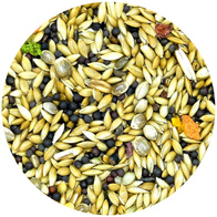 Exclusive Vita-Organic MDM mieszanka dla kanarka KE 10 kg