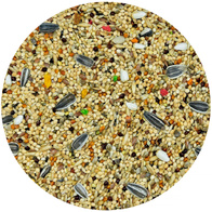 Mieszanka MDM dla małych papug Energy Taste Vita-Organic 10 kg