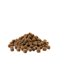 Versele Laga OPTI LIFE Adult Mini Sucha karma dla psów miniaturowych ras 2,5 kg