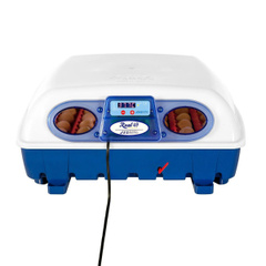 Inkubator do jaj Borotto Real 49