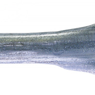 Uchwyt regulatora do rury okrągłej fi 26,75 mm do systemów pojenia