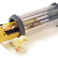 Aparat lęgowy Octagon 10 Eco