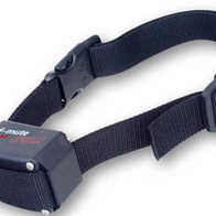 Elektroniczna obroża antyszczekowa dla małych psów