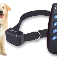 Elektroniczna obroża na pilota d-Control Easy dla psów w wersji standardowej
