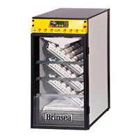 Inkubator Brinsea Ova-Easy Advance 380 jaj