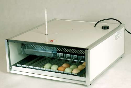 Inkubator Profi 64 Auto