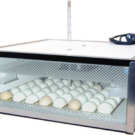 Inkubator Profi PIO 56