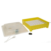 Inkubator iKar 42-120 sterowany pilotem automatyczne obracanie jaj