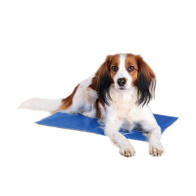 Mata chłodząca dla psa żelowa 40 x 50 cm