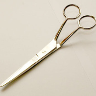 Nożyczki weterynaryjne