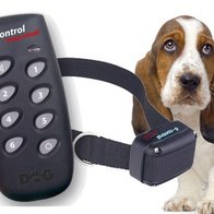 Obroża treningowa na pilota d-Control Easy SMALL dla małych psów