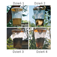 REDTOP pułapka na muchy i osy z wabikiem