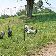 Siatka elektryczna z podwójnym szpicem do pastucha przeciw wydrom i dla drobiu wys. 65c m dł. 50 m zielona