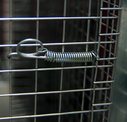 Sprężyna, zamknięcie sprężynowe do klatek długość 70mm